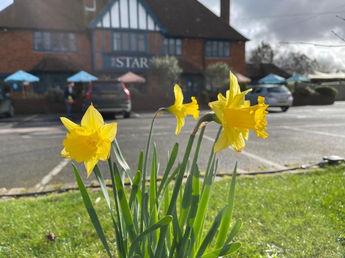 The Star Inn Lingfield Buitenkant foto