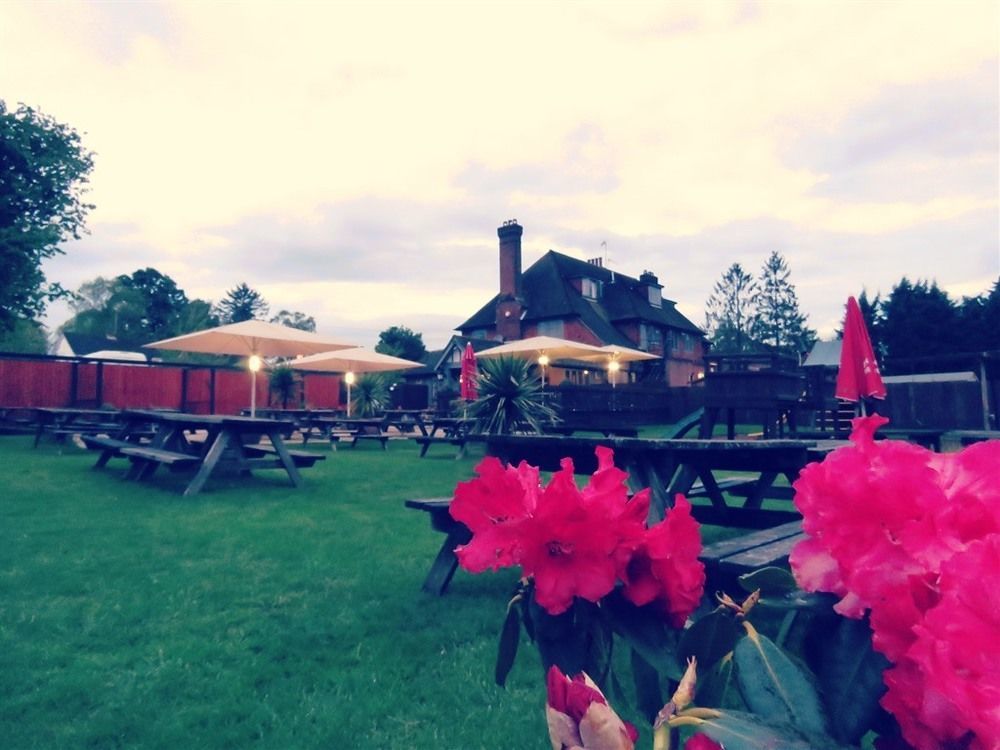 The Star Inn Lingfield Buitenkant foto